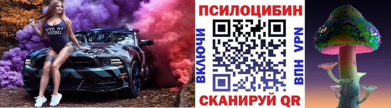 Галлюциногенные грибы Cubensis  Богородск 